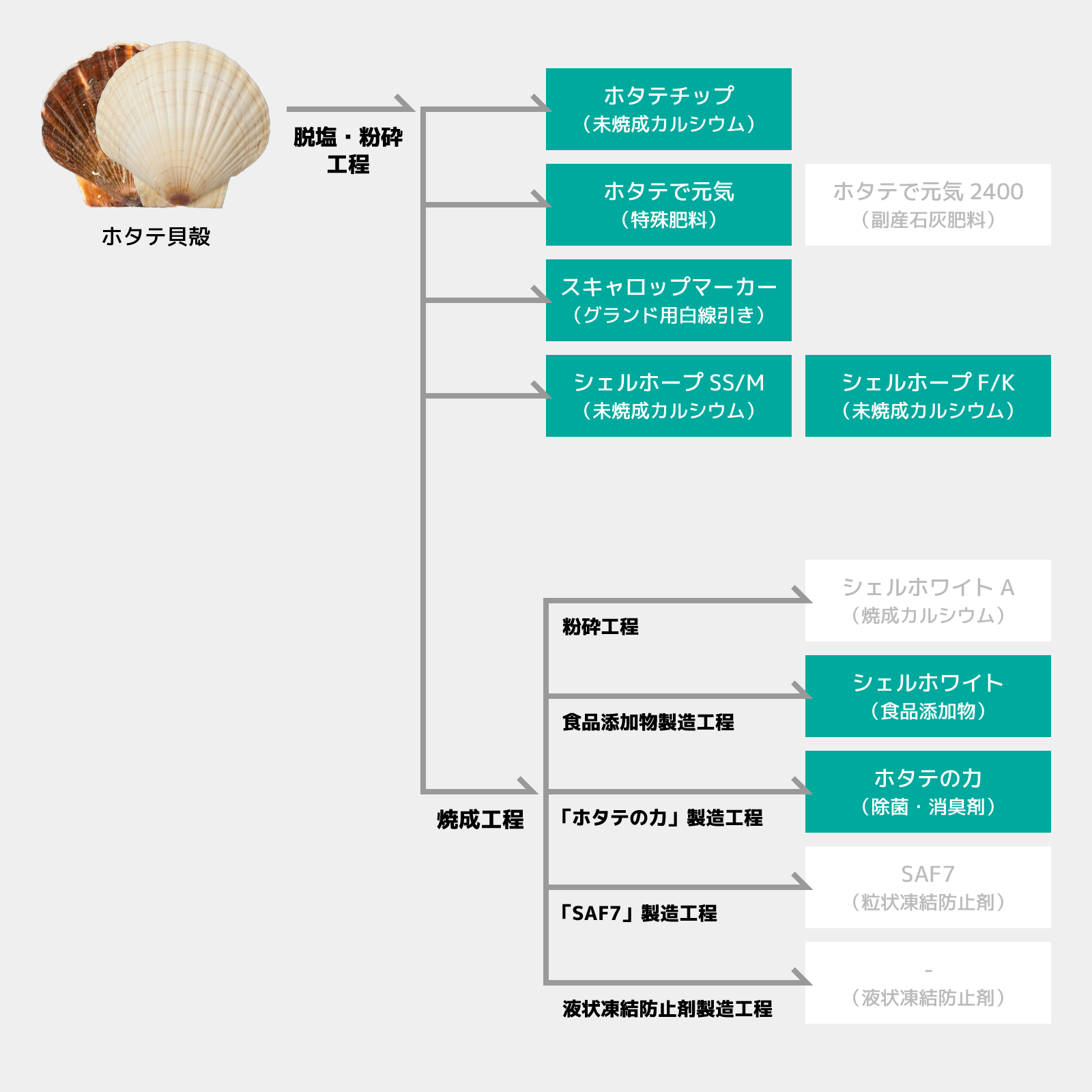 製品ラインナップ